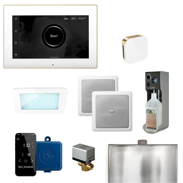 Mr. Steam - XDream Programmable Steam Generator Control Kit with iSteamX Control and Aroma Glass Steamhead in White Polished Brass - White Polished Brass