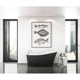 Maax - Ariosa 6032 Acrylic Freestanding End Drain Bathtub in White with Black Skirt - Black