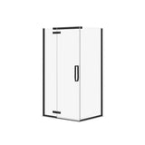 Link Rectangular 42 x 34 x 75 in. 8mm Pivot Shower Door for Corner Installation with Clear glass in Dark Bronze