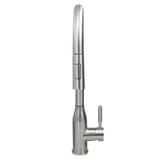 Goose Neck Pull-Down Faucet with Modernl Styling