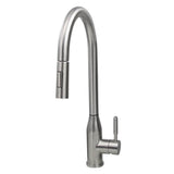 Goose Neck Pull-Down Faucet with Modernl Styling