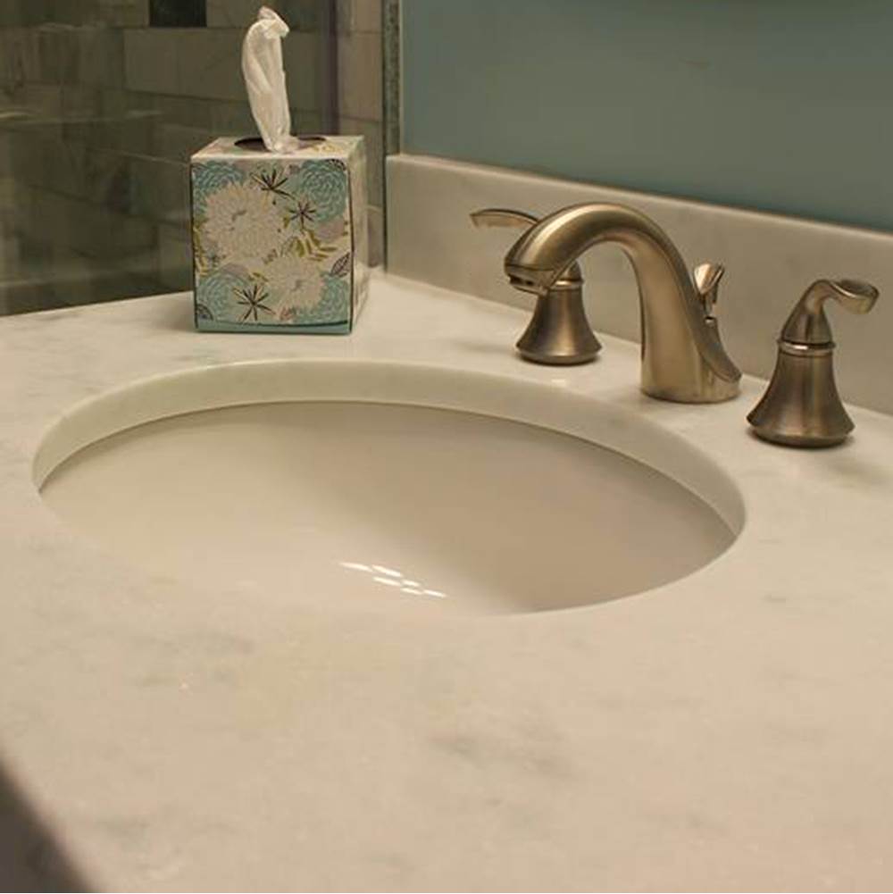 17 Inch X 14 Inch Undermount Ceramic Sink In Bisque