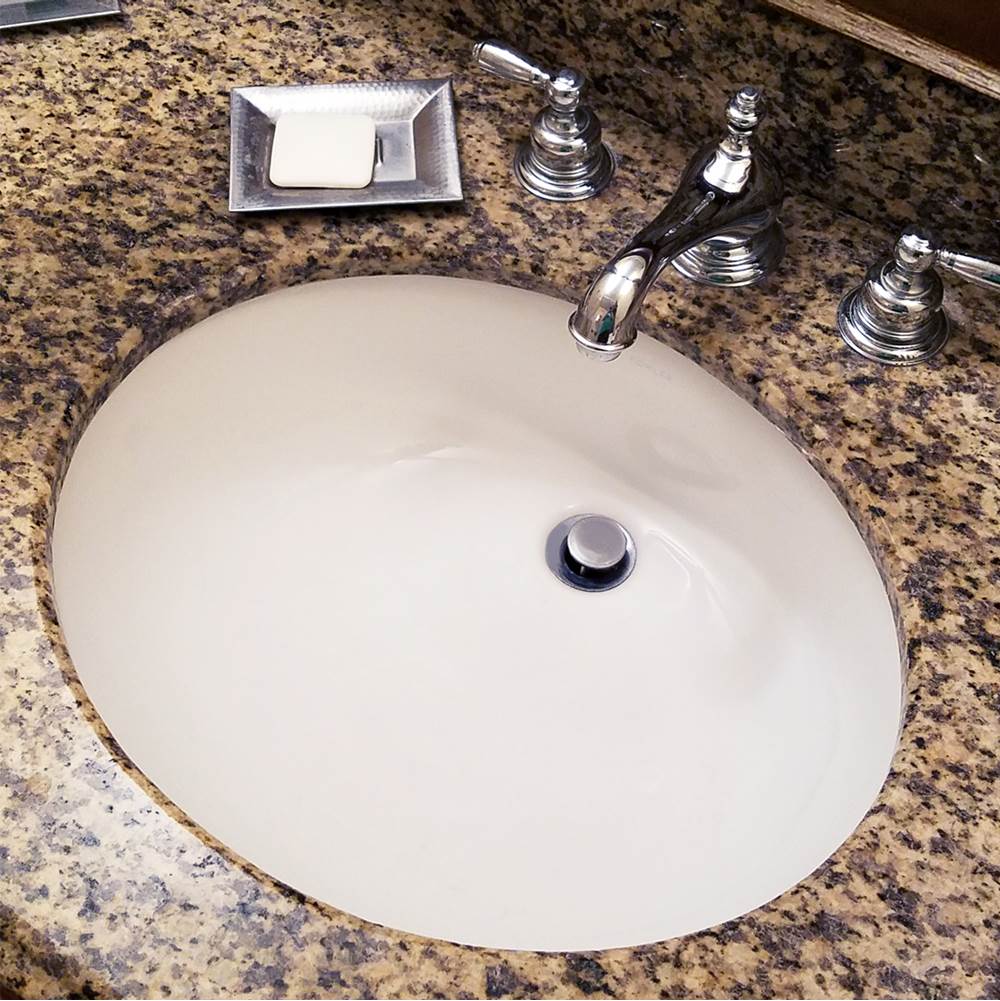 17 Inch X 14 Inch Undermount Ceramic Sink In Bisque