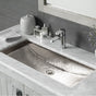 Native Trails - Trough 30 Bathroom Sink in Polished Nickel - Polished Nickel
