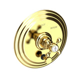 Newport Brass - Astor Balanced Pressure Tub & Shower Diverter Plate with Handle - Polished Brass Uncoated Living