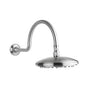 Outdoor Shower - Shower Head Set - 8'' Shower Head, 16''Arm - Satin