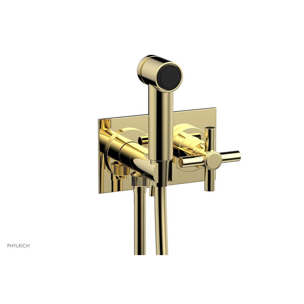 Phylrich - Wall Mounted Bidet - Polished Brass
