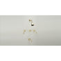 Phylrich - 3Ring Curved Handle - Satin chrome