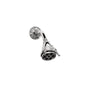 Phylrich - SWAN Shower Head K800 - Old English Brass
