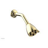 Phylrich - Shower Head, Smooth - Polished Brass