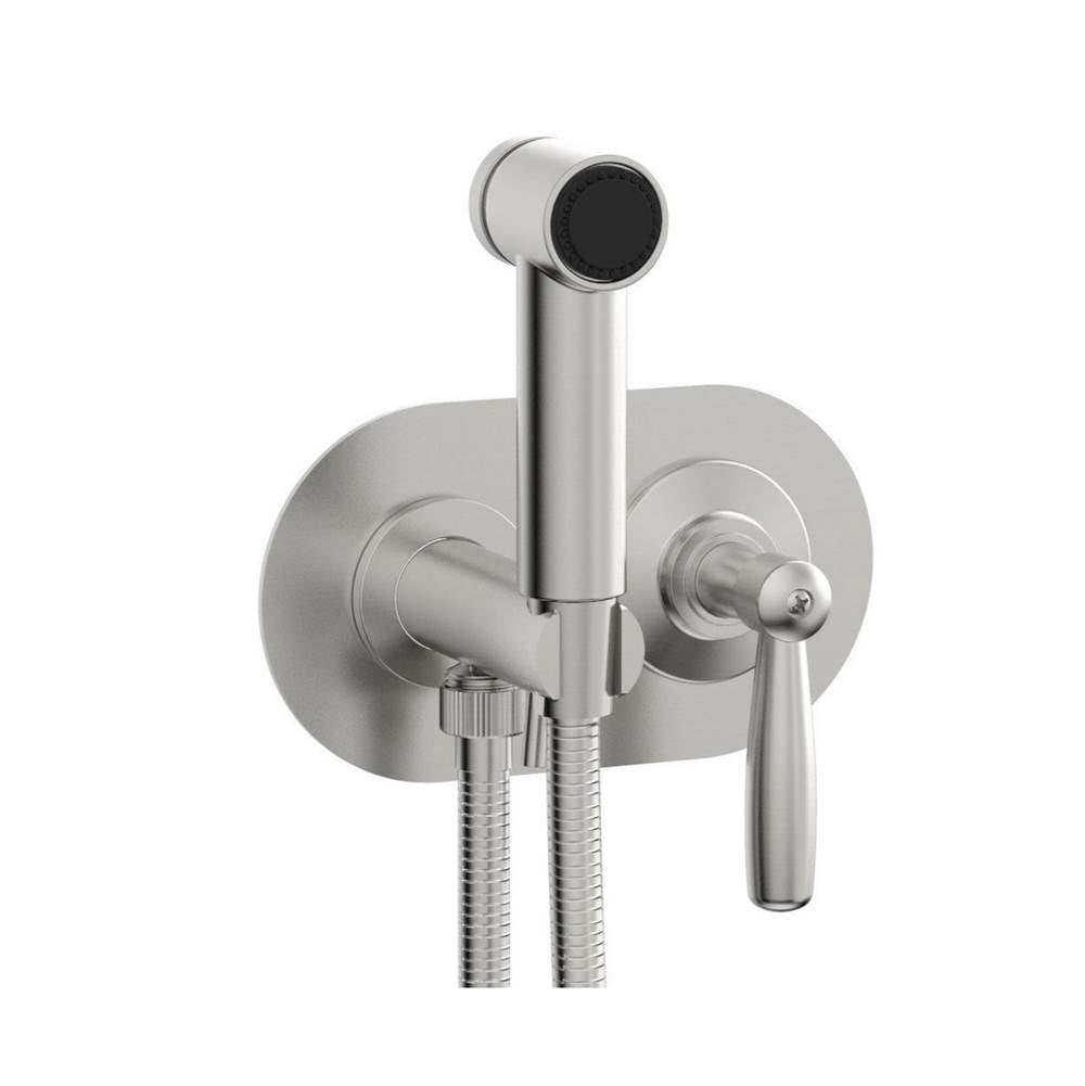 Phylrich - Wall Mounted Bidet Set Works, Lever Handle - Satin chrome