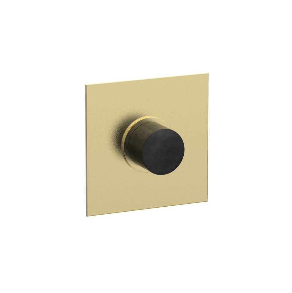 Phylrich - 1/2'' Mini Therm 5'' S - Polished Brass Uncoated