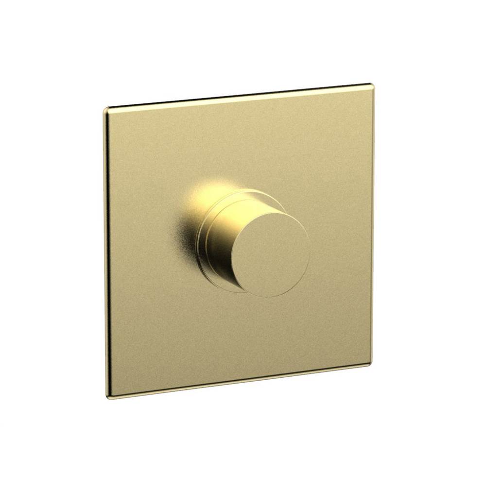 Phylrich - Shower Plate Trim - Polished Brass Uncoated