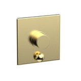Phylrich - Pb Shower Plate W/ D - Polished Brass Uncoated