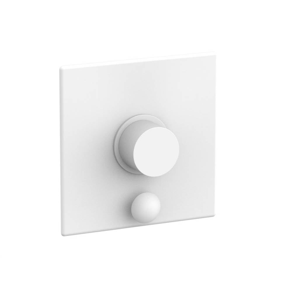 Phylrich - Pb Shower Plate W/ D - Satin White