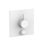 Phylrich - Pb Shower Plate W/ D - Satin White