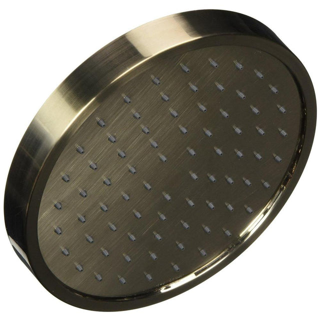 Pfister - Contempra Single Function Raincan Showerhead in Brushed Nickel - Brushed Nickel