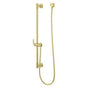 Pfister - Modern Round 30 in. Slide Bar with 60 in. Hose in Brushed Gold - Brushed Gold