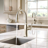 Briarsfield Pull-Down Bar/Prep Faucet in Polished Chrome