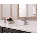 Holliston Single Control  Bathroom Faucet in Brushed Gold