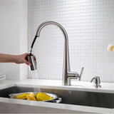 Lita 1-Handle Pull-Down Kitchen Faucet with Soap Dispenser in Matte Black