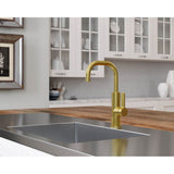 Montay 1-Handle Bar/Prep Kitchen Faucet in Matte Black
