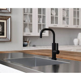 Montay 1-Handle Bar/Prep Kitchen Faucet in Matte Black