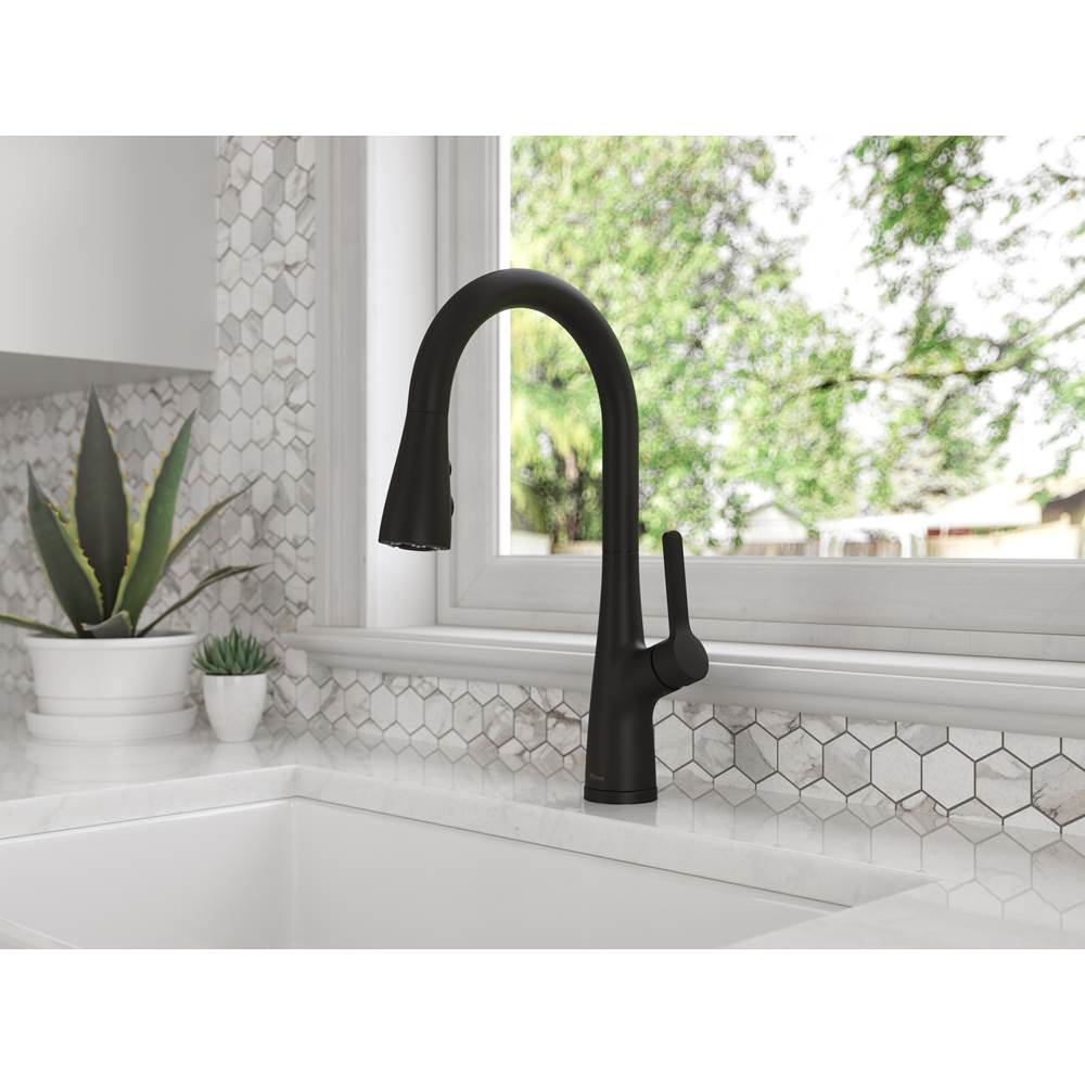 Neera Pull-Down Kitchen Faucet in Matte Black