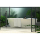 Tenet Tub Filler with Handshower in Matte Black