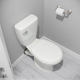 Woodbury Toilet Paper Holder in Polished Chrome