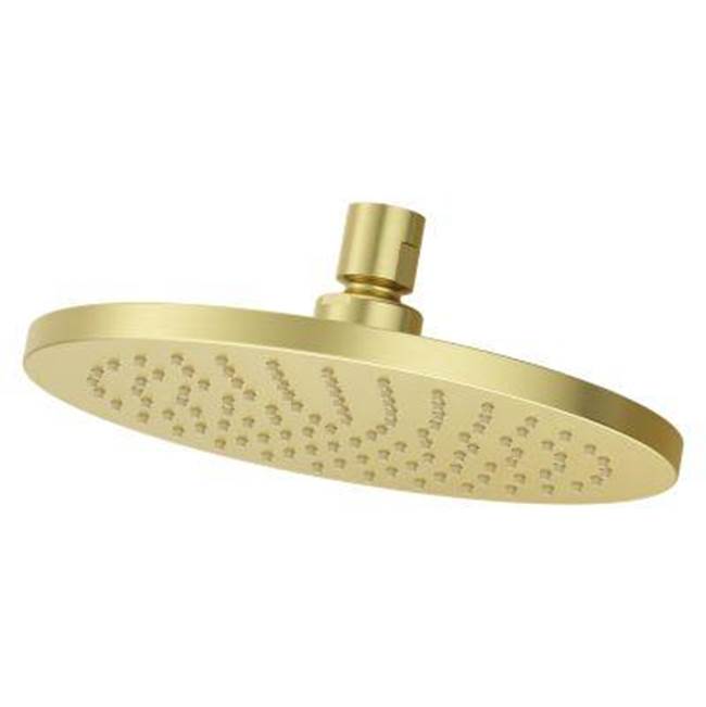 Pfister - Modern Round 8 in. Raincan Showerhead in Brushed Gold - Brushed Gold