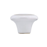 Eclectic Ceramic Knob - 1423