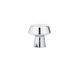 Contemporary Metal Knob - 1894