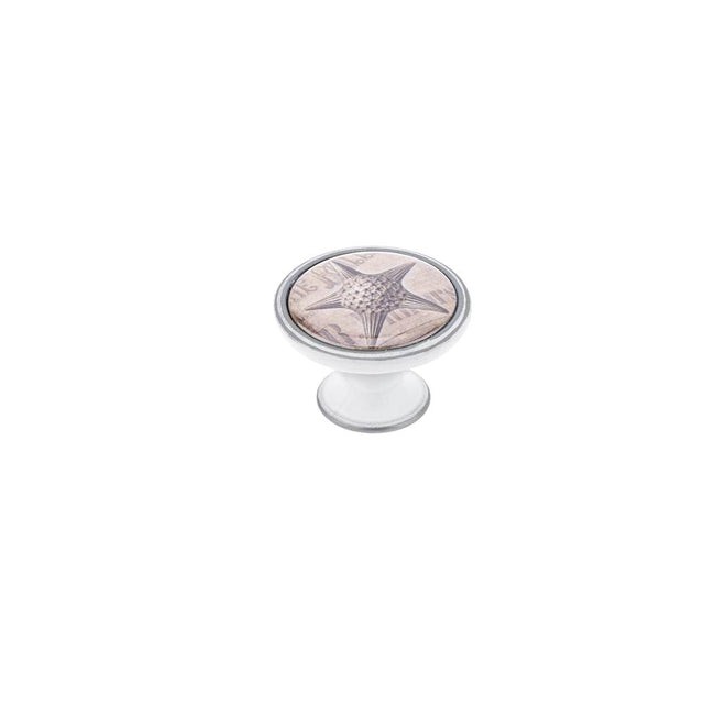 Richelieu America - Metal and Plastic Knob - 5514 - Starfish