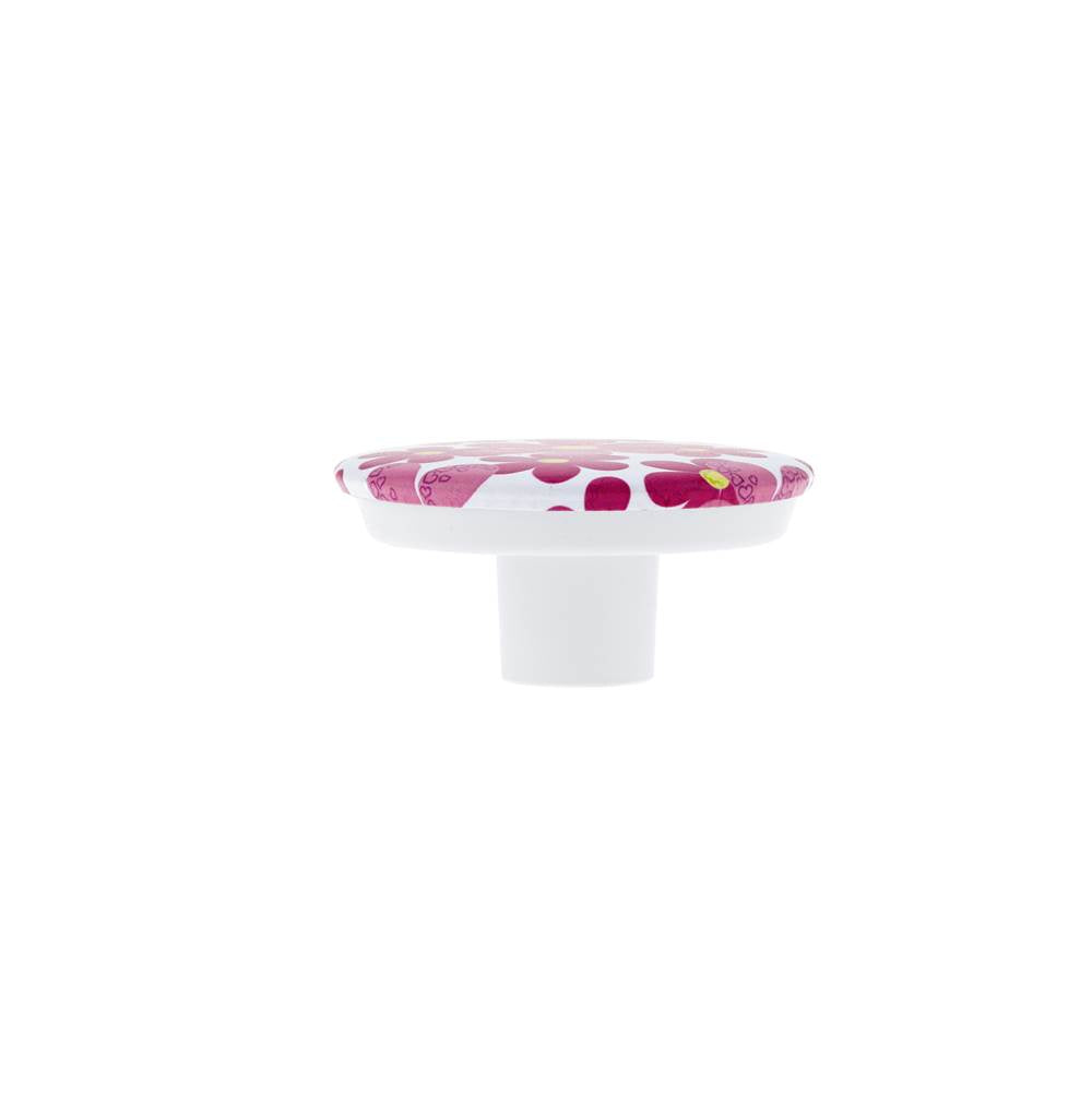 Contemporary Plastic Knob - 7625