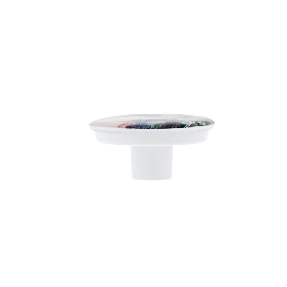 Contemporary Plastic Knob - 7625