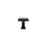 Transitional Metal Knob - 7953