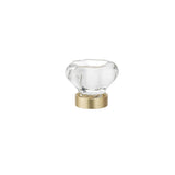 Eclectic Crystal and Metal Knob - 1007