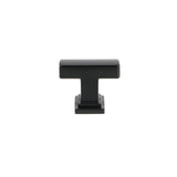 Transitional Metal Knob - 8645