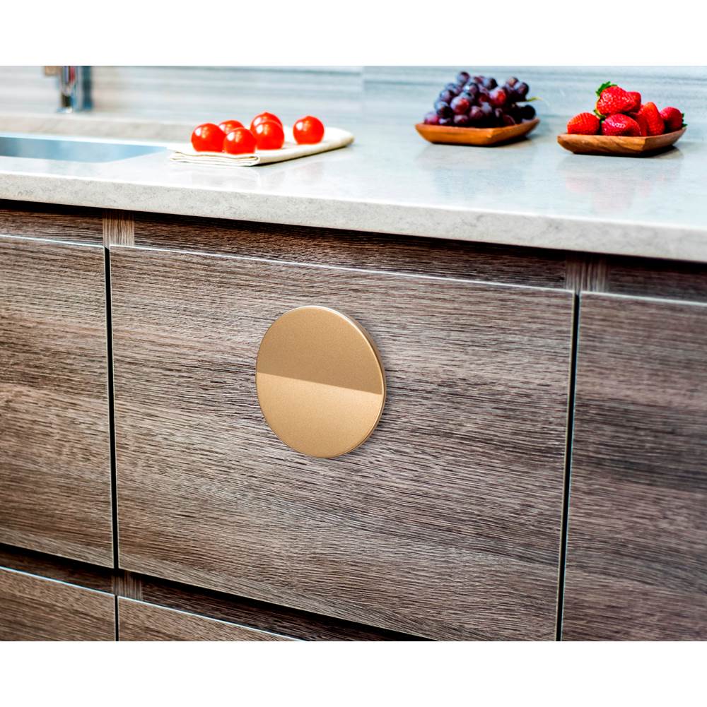 Contemporary Metal Knob - 2589