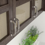 Transitional Metal Pull - 5021