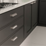 Transitional Metal Pull - 6576