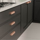 Transitional Metal Pull - 6576