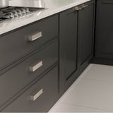 Transitional Metal Pull - 6576