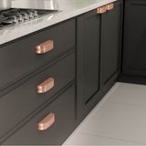 Transitional Metal Pull - 6579