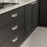 Transitional Metal Pull - 6579