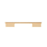 Contemporary Metal Pull - 8636