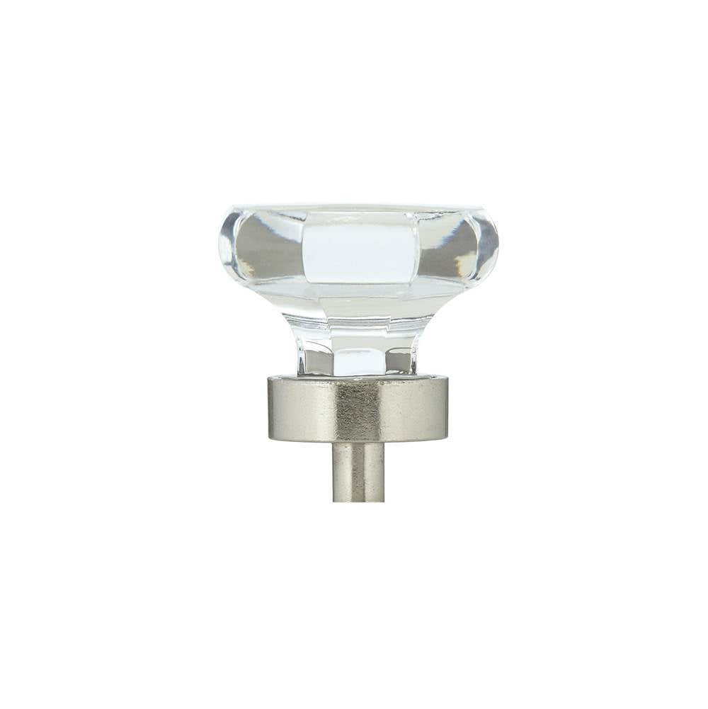 Eclectic Acrylic and Metal Knob - 1008