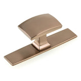Richelieu America - Transitional Metal Wardrobe Knob and Backplate - 2245 - Champagne Bronze