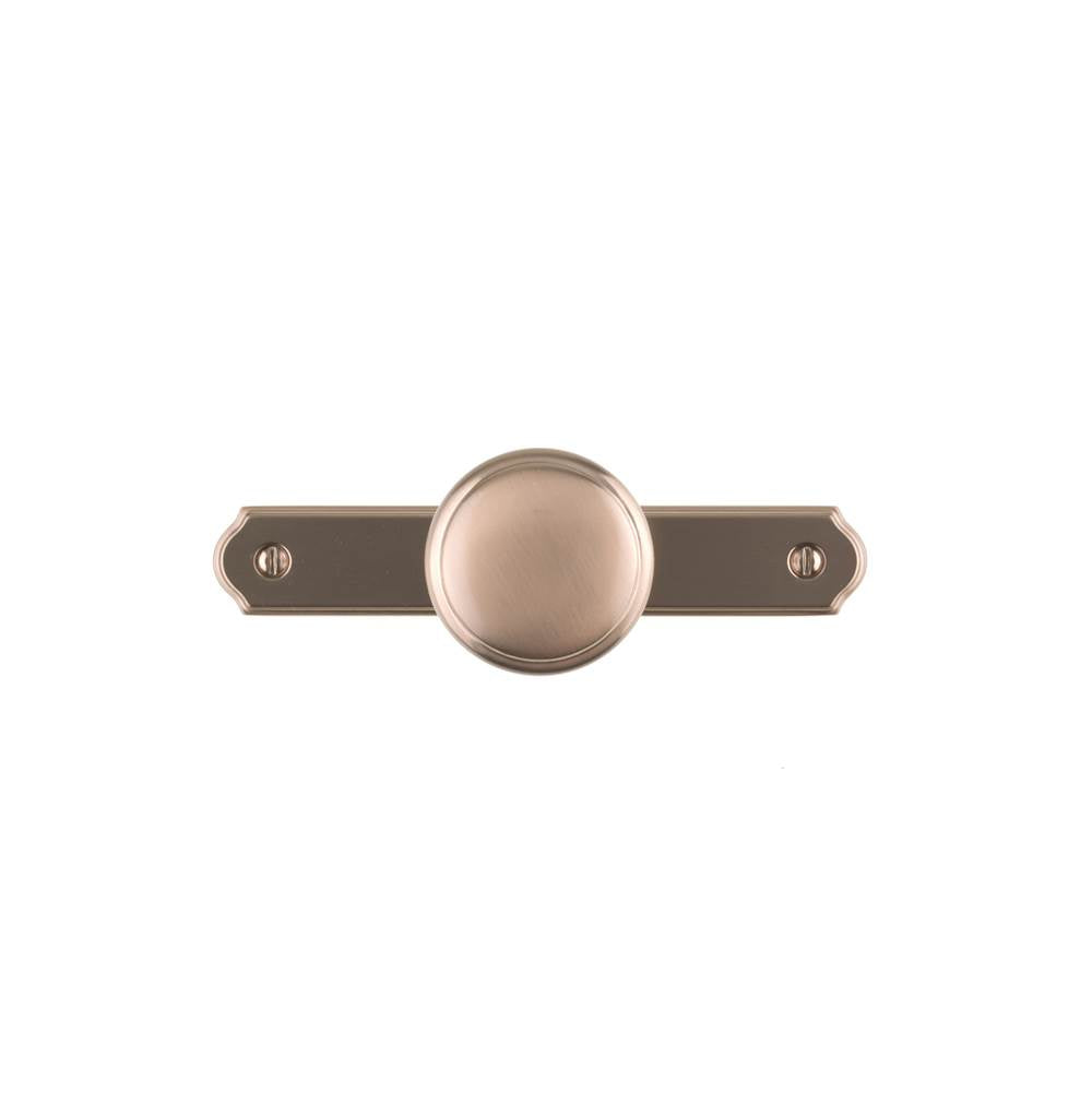 Transitional Metal Wardrobe Knob and Backplate
